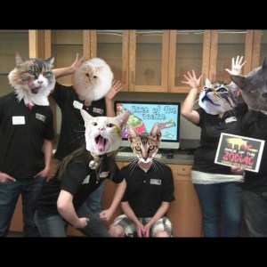 The Zodiac  team has been catified!